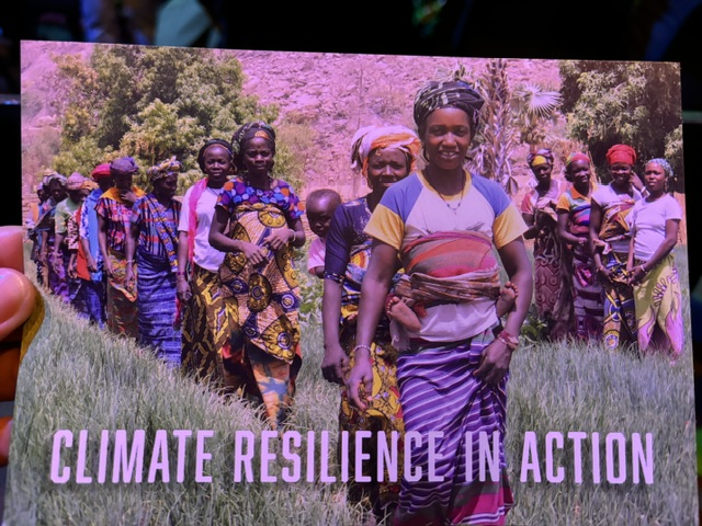 Erasmus Amsterdam3 IMG 1351