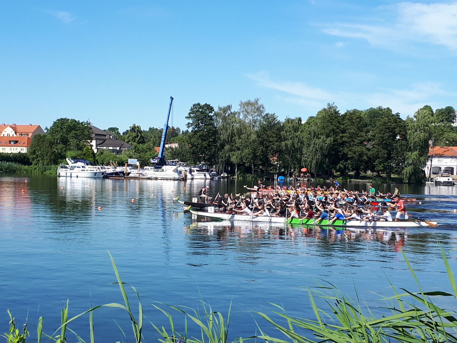 Drachenbootcup5 PHOTO 2018 06 30 16 10 51