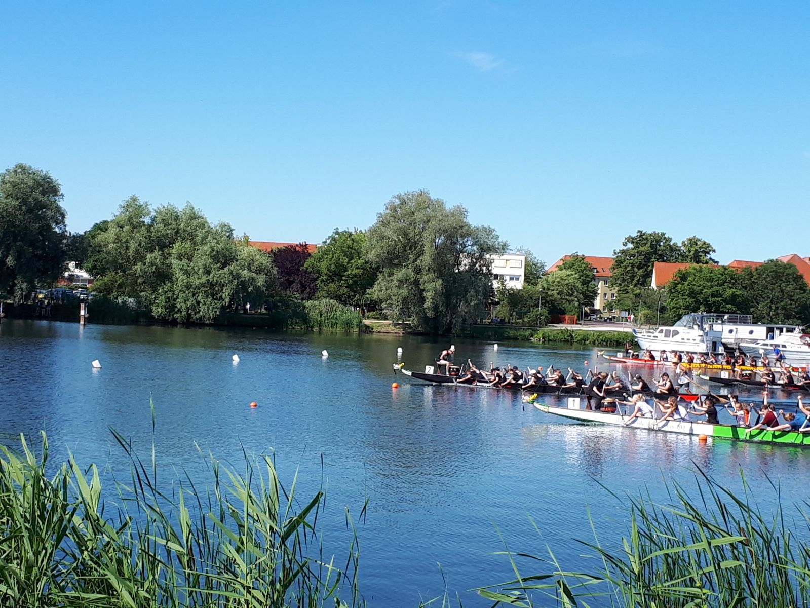 Drachenbootcup6 PHOTO 2018 06 30 16 10 41