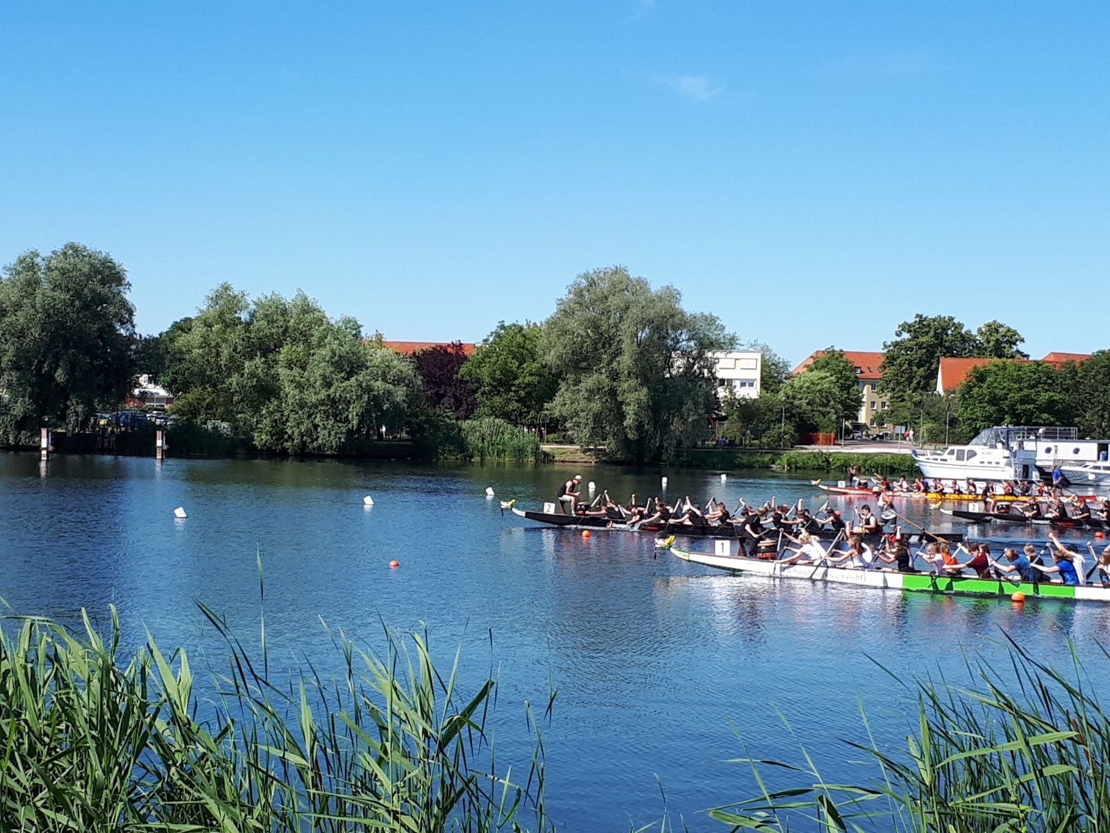 Drachenbootcup7 PHOTO 2018 06 30 16 10 25